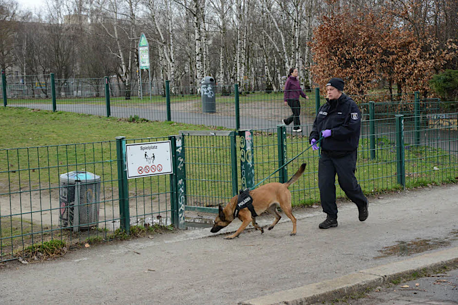 Eine Polizistin mit ihrem Diensthund im Einsatz. Der Vierbeiner ist am Spielplatzzaun auf der Suche nach eventuellen Duftspuren des Angreifers.