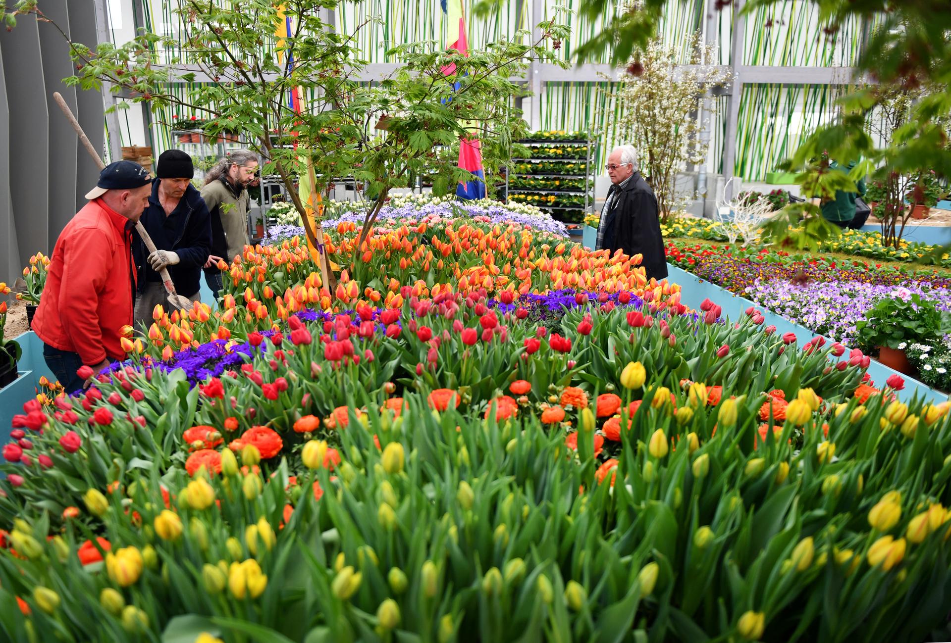 Blumenhalle auf dem Gelände der Internationalen Gartenausstellung "IGA Berlin 2017"