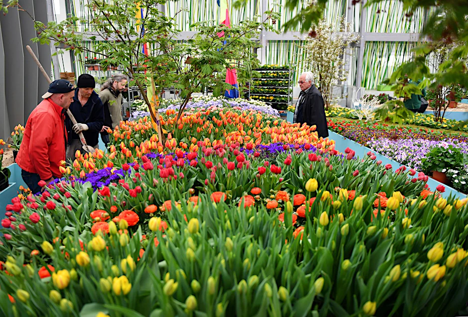 Blumenhalle auf dem Gelände der Internationalen Gartenausstellung "IGA Berlin 2017"