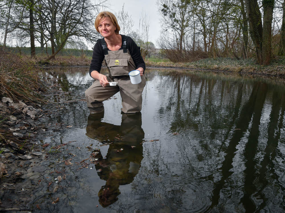 In einem Tümpel auf der Suche nach Larven: Die Biologin Doreen Walther.