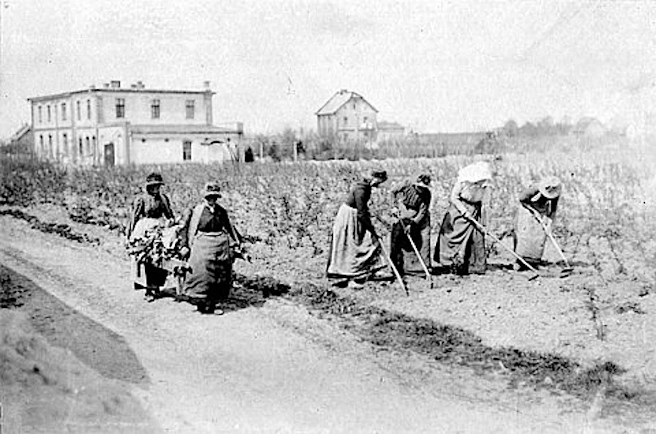 Siedlerinnen der Kolonie Eden um 1896 bei der Bearbeitung des Bodens. Im Hintergrund ist bereits das erste Genossenschaftsgebäude zu sehen.