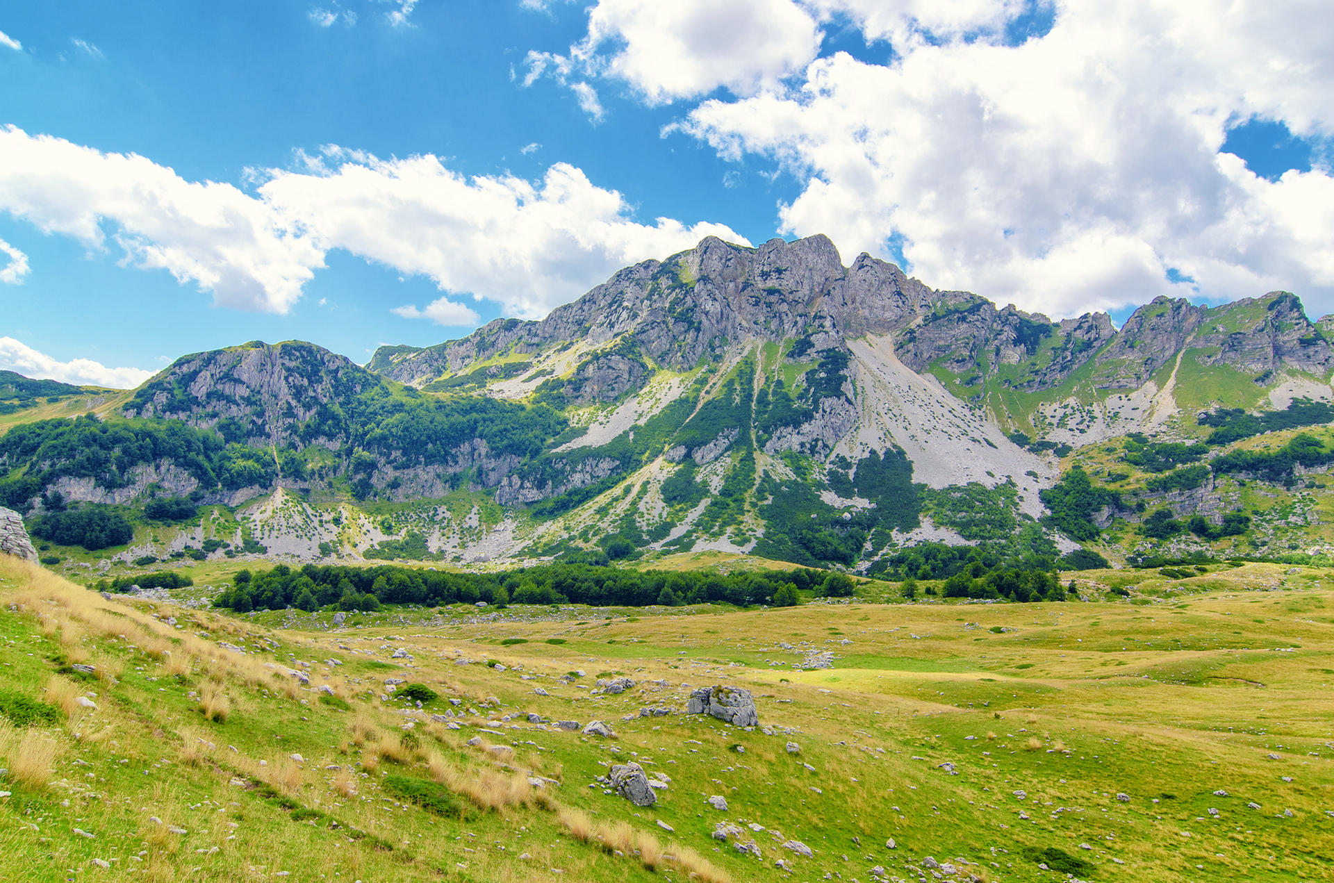 Berge und grüne Hügel: Der Nationalpark Durmitor im nördlichen Montenegro.