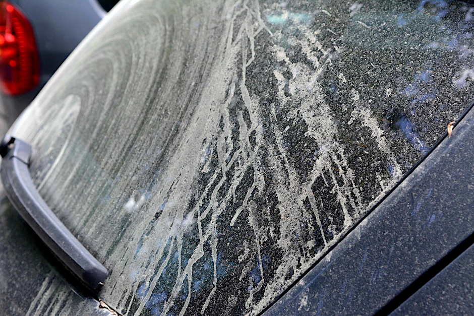Gelb, klebrig, abstoßend Die Stadt leidet unter einer extrem starken Pollen-Invasion. Wetter-Experten machen die wechselhaften Temperaturen und Russen-Winde verantwortlich.