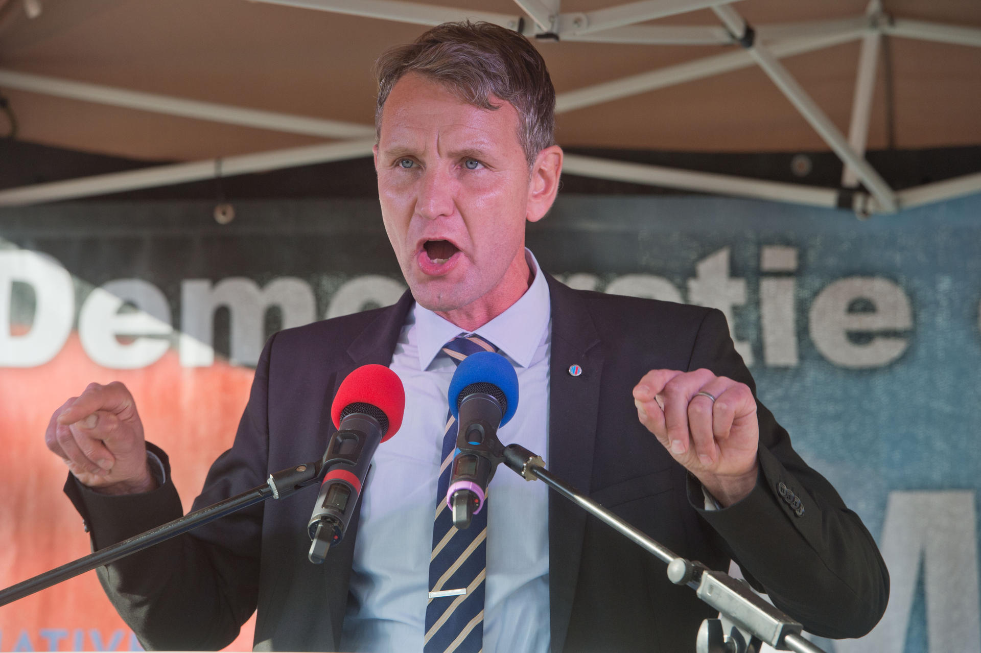 Björn Höcke (AfD)