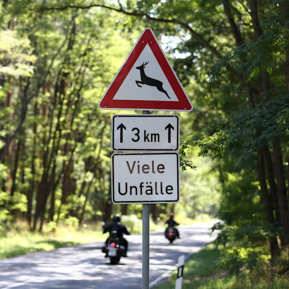 Verkehrszeichen warnen in einer Allee in Brandenburg vor Wildwechsel und vielen Unfällen auf einer Länge von drei Kilometern. 
