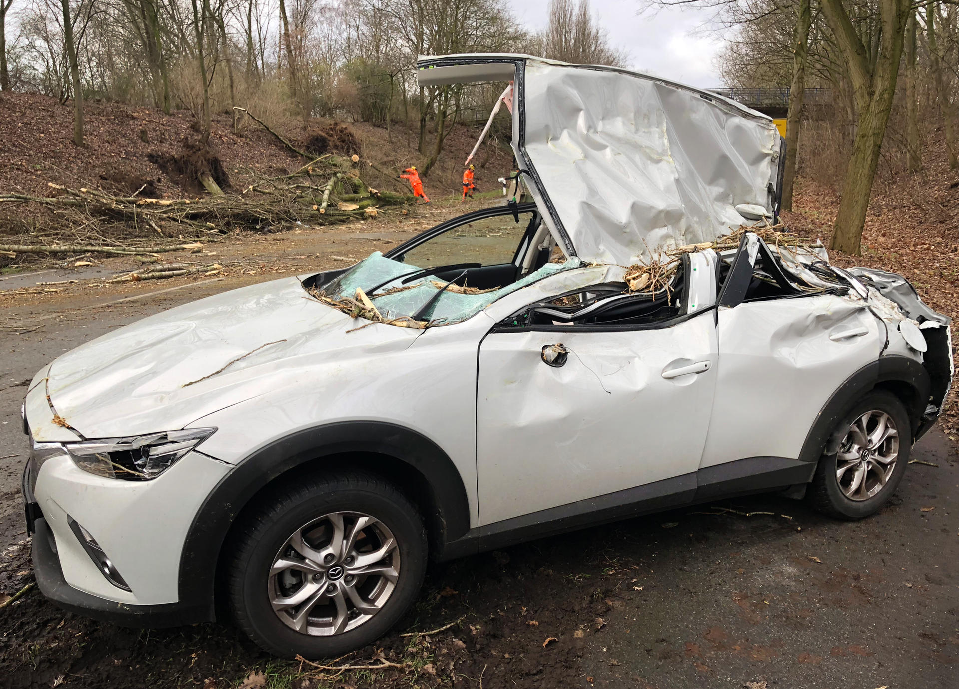 Ein von einem umgestürzten Baum zerstörtes Auto steht in Moers (Nordrhein-Westfalen). 