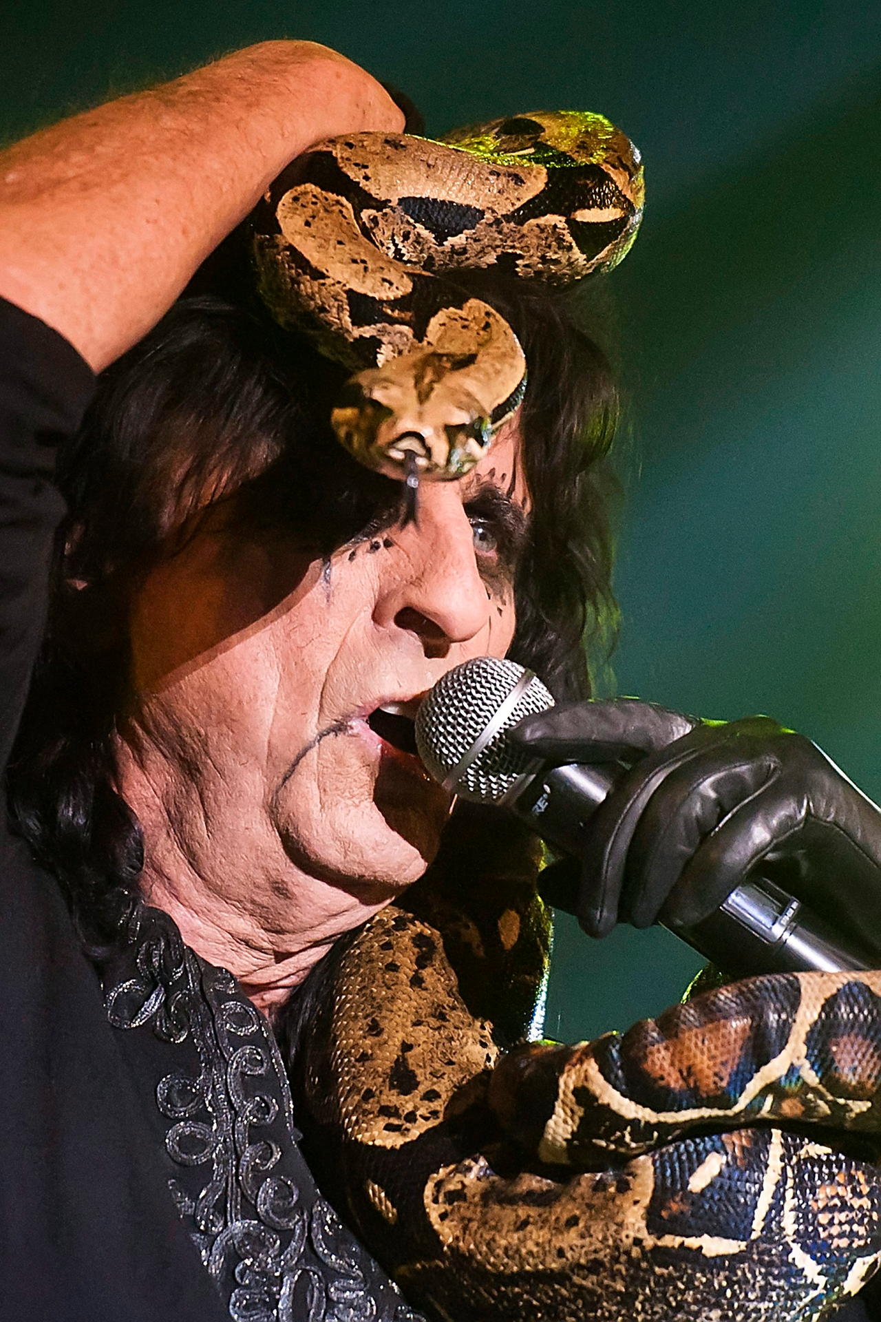 Wo Alice Cooper auf der Bühne steht, sind Schlangen nicht weit ... (Auftritt in der Schweiz 2013).
