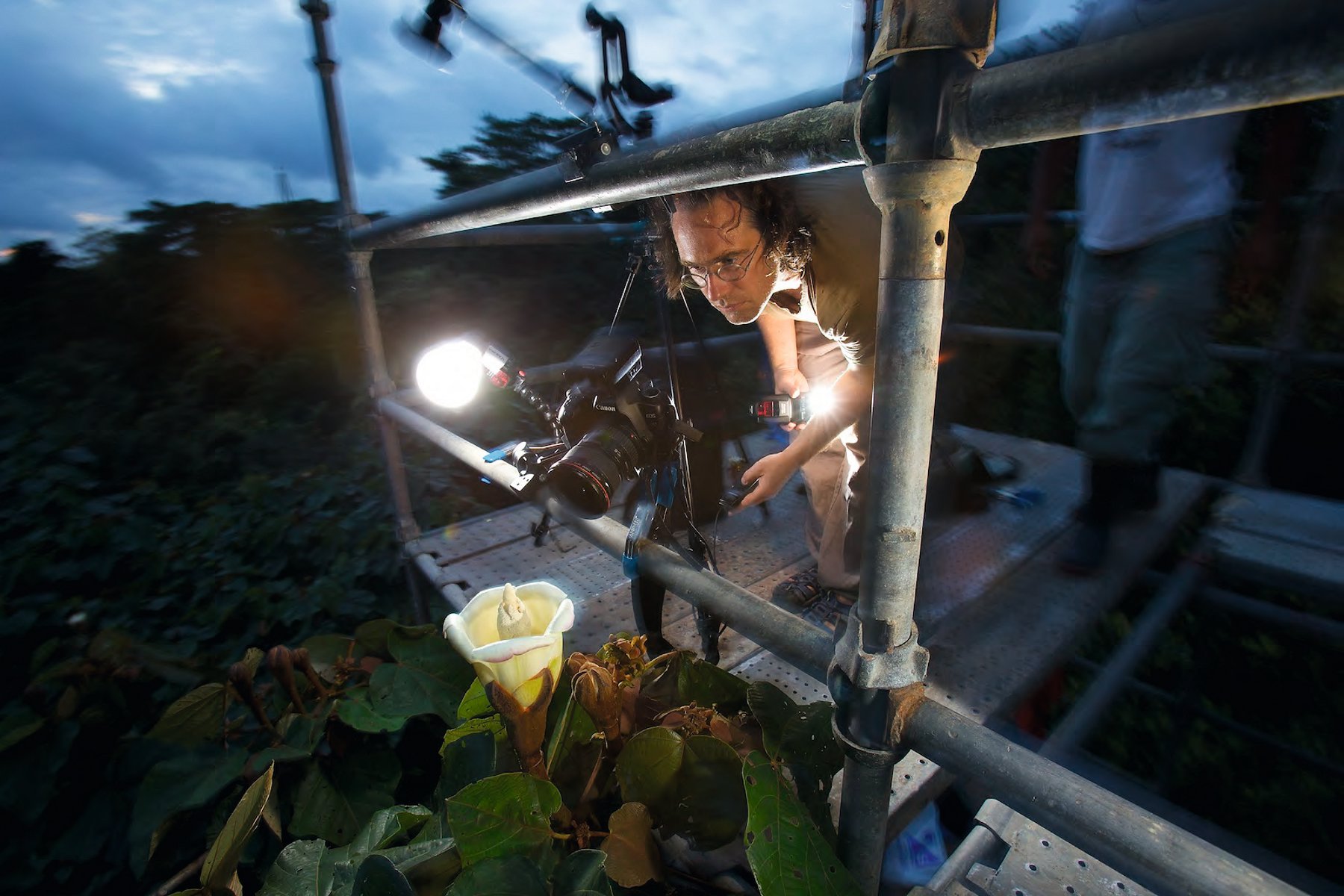 Ein Fotograf und sein Motiv: Christian Ziegler setzt eine Blüte in Szene. Auch wenn er Pflanzen  fotografiert, spricht er von „Porträts“.