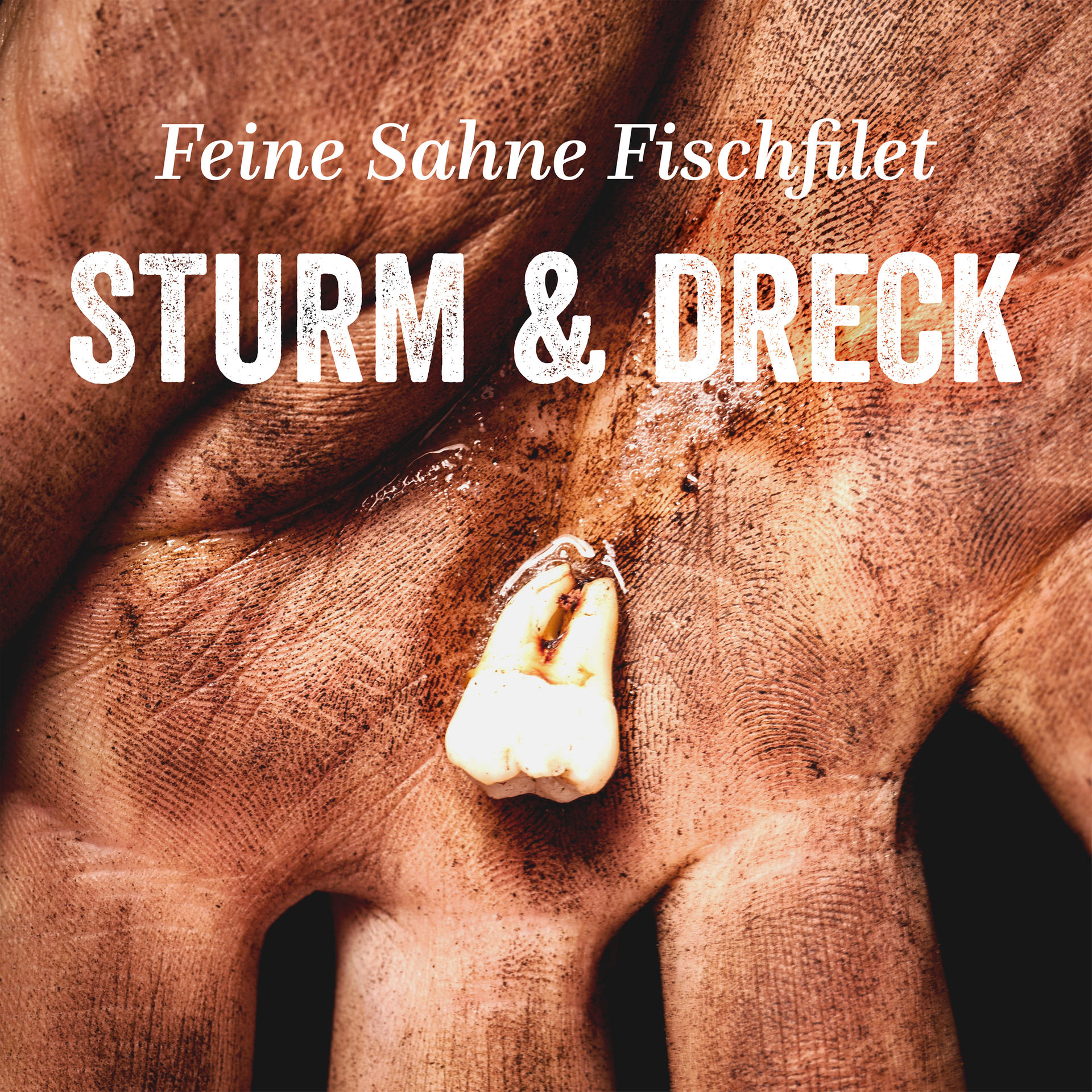 "Sturm und Dreck", das am 12. Januar erscheinende Album der Band.