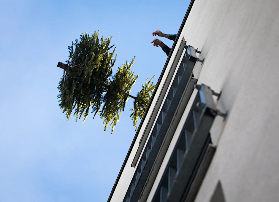 Und tschüss: Nach Weihnachten landen die Bäume auf der Straße und werden von der Stadtreinigung abgeholt.