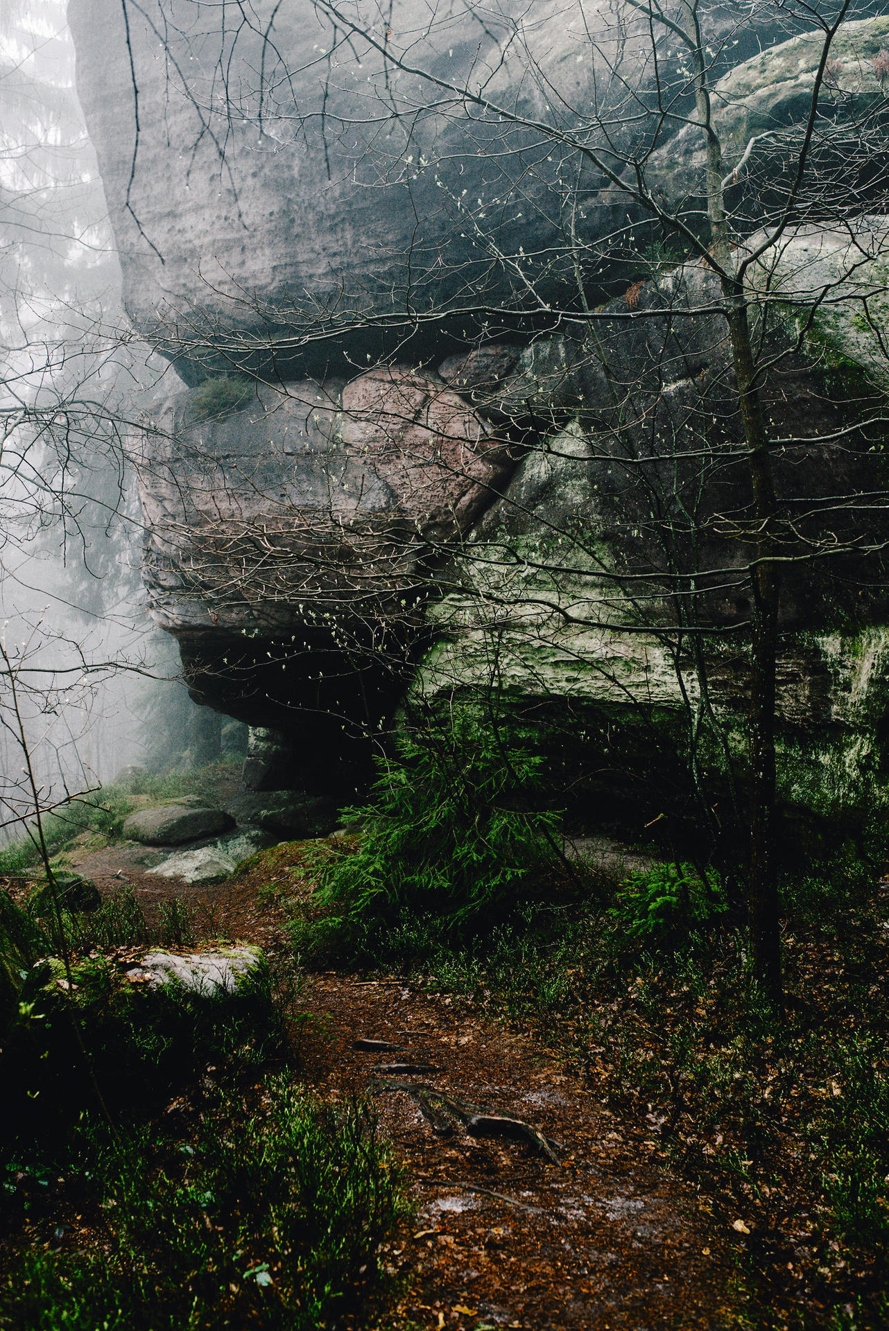 Absolute Stille in der Sandstein- und Waldwelt. Die Wanderer schauen, staunen und schweigen. Der Nebel macht die Atmosphäre nur noch schöner.