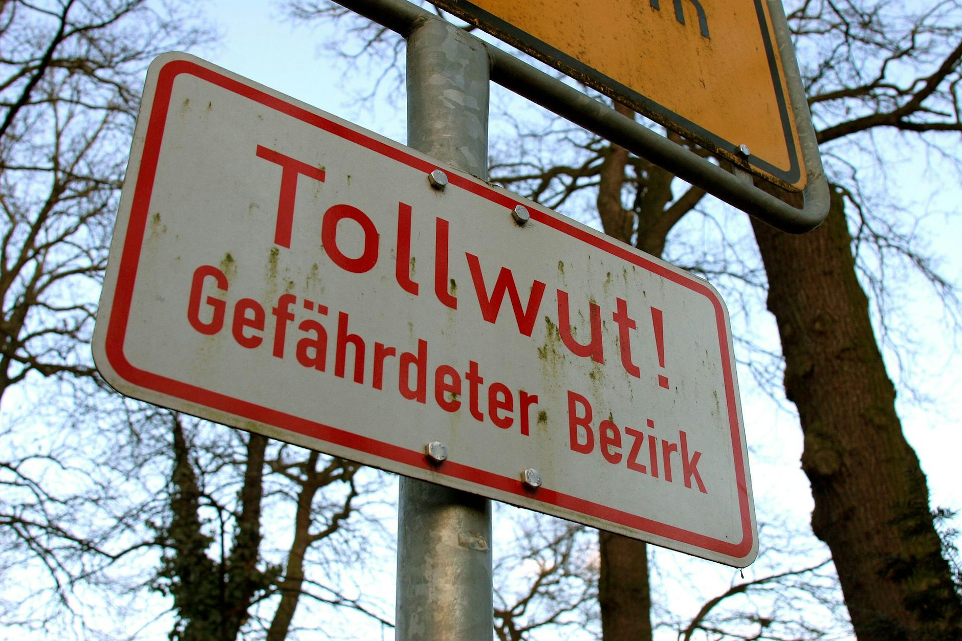 Mit diesem Schild wurde 2005 noch auf einen tollwutgefährdeten Bezirk hingewiesen, In weiten Teilen Europas wurde die Tollwut mittlerweile getilgt. 