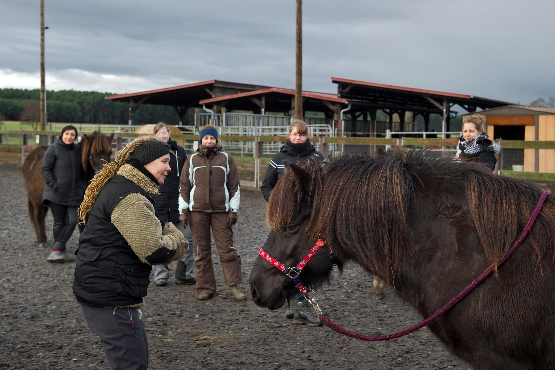 Klare Körpersprache: Stephanie Ostendorf demonstriert eine Übung. Es geht darum, klar und eindeutig aufzutreten. Das Islandpferd spitzt die Ohren, scheint aufmerksam zuzuhören und hinzuschauen. Die Kursteilnehmerinnen auch. 