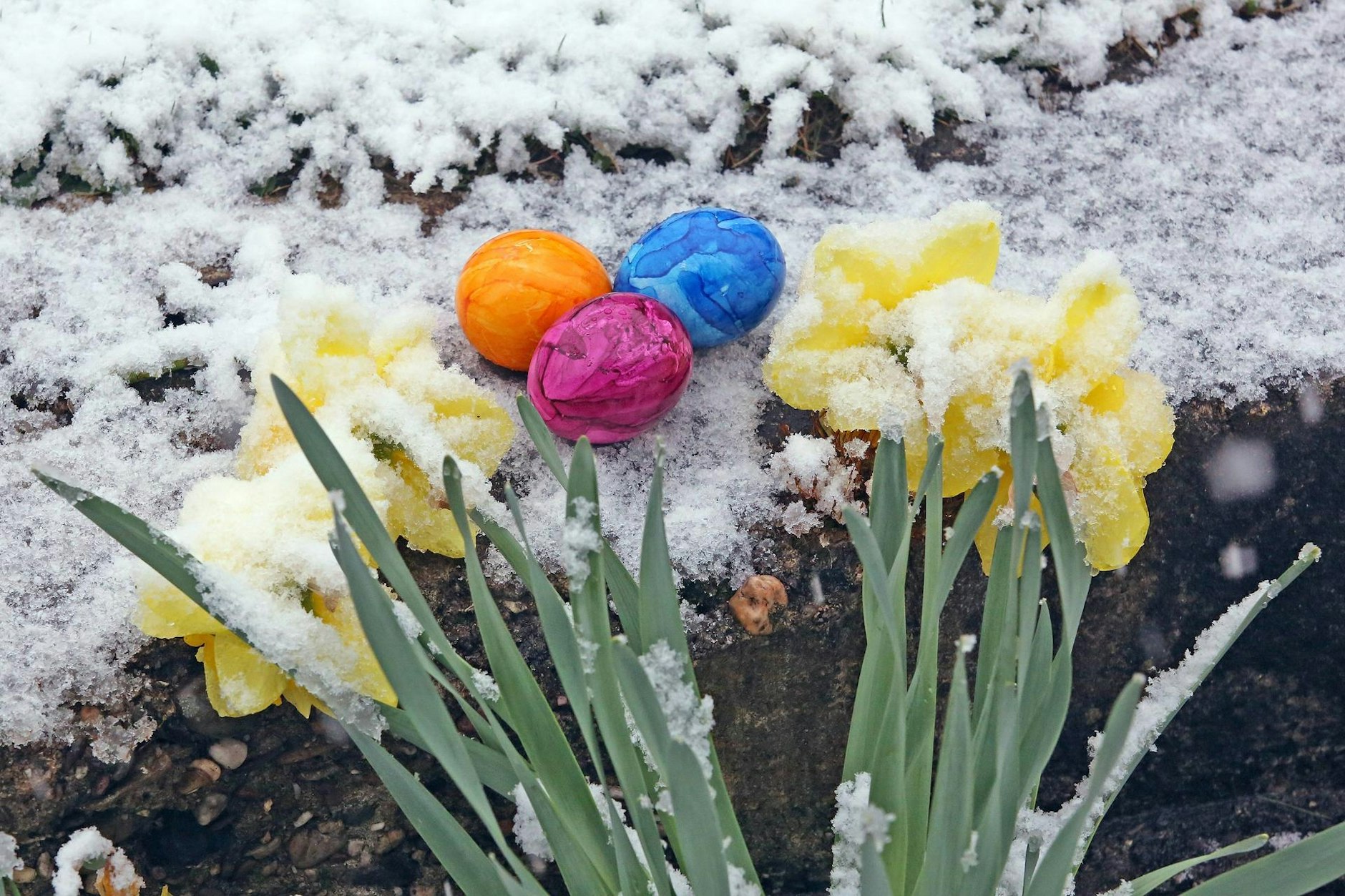 Die Hauptstadt erwacht mit den ersten warmen Frühlingstagen zum Leben und bietet eine bunte Mischung aus Veranstaltungen, die keine Wünsche offenlassen.