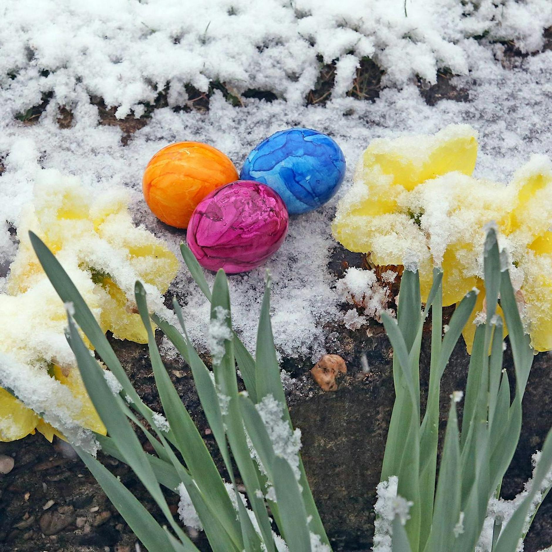 Veranstaltungen April 2025 in Berlin | Tickets