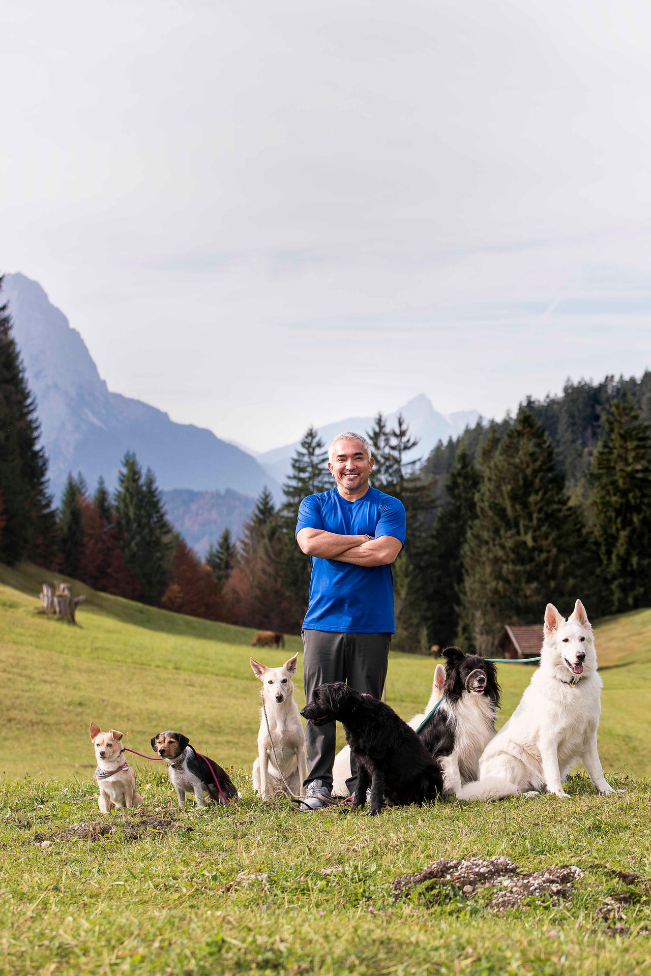 Hundetrainer Für Problemhunde In Der Nähe Cesar Millan ist der Hundetrainer der Hollywood-Stars