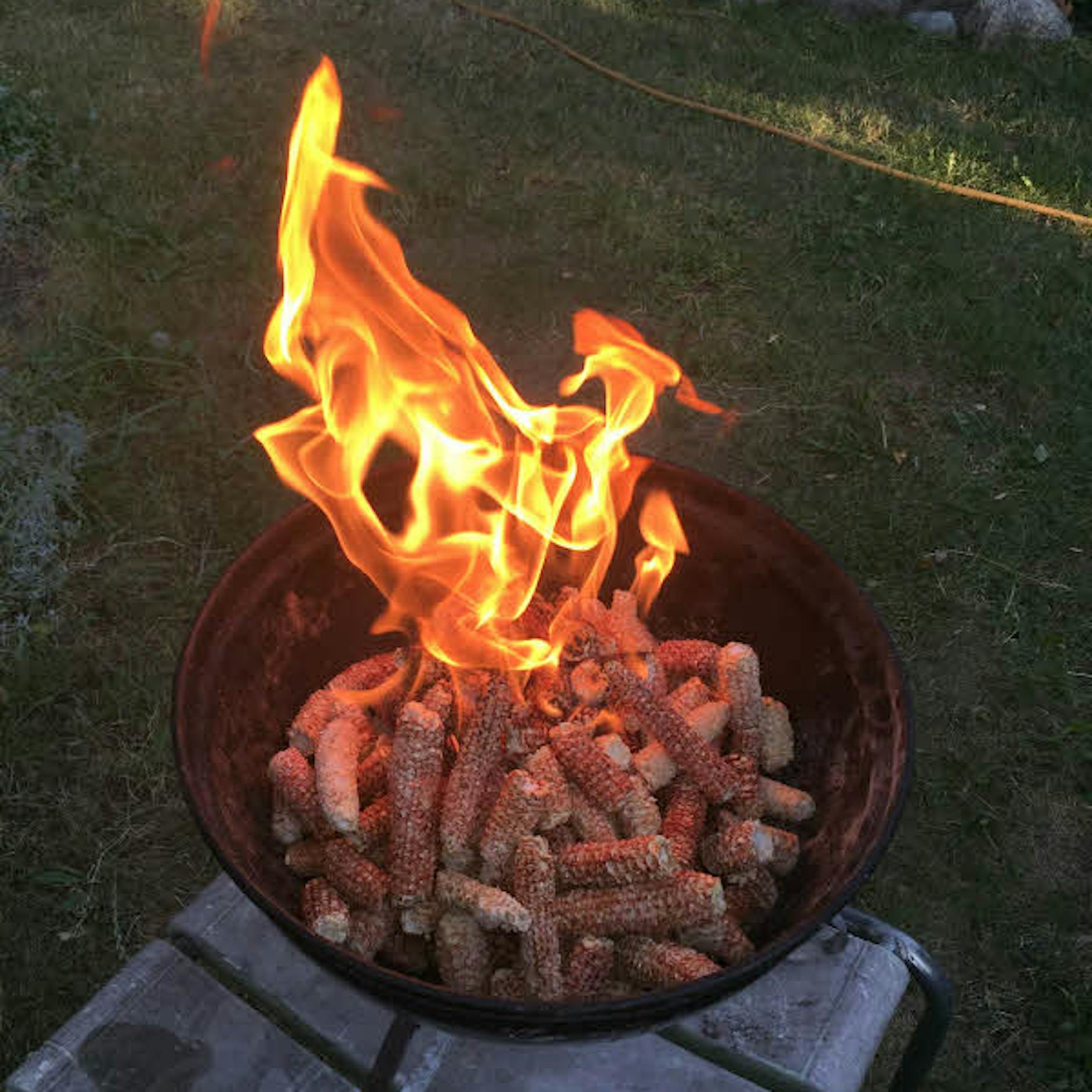 Warenkunde: Funktioniert das Grillen mit nachhaltiger Maiskohle?