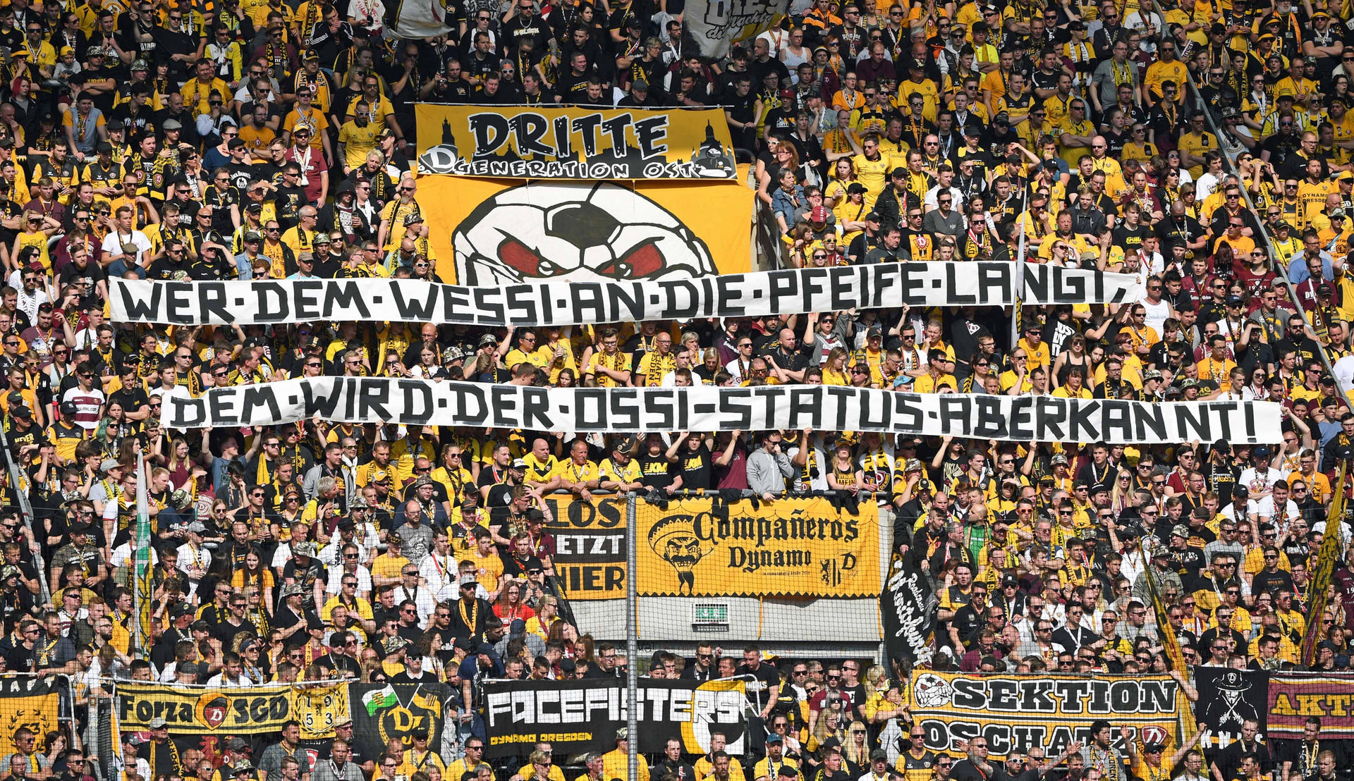 Image - DFB-Pokalgegner von Hertha BSC: Dynamo Dresden ist schwarz-gelber Wahnsinn