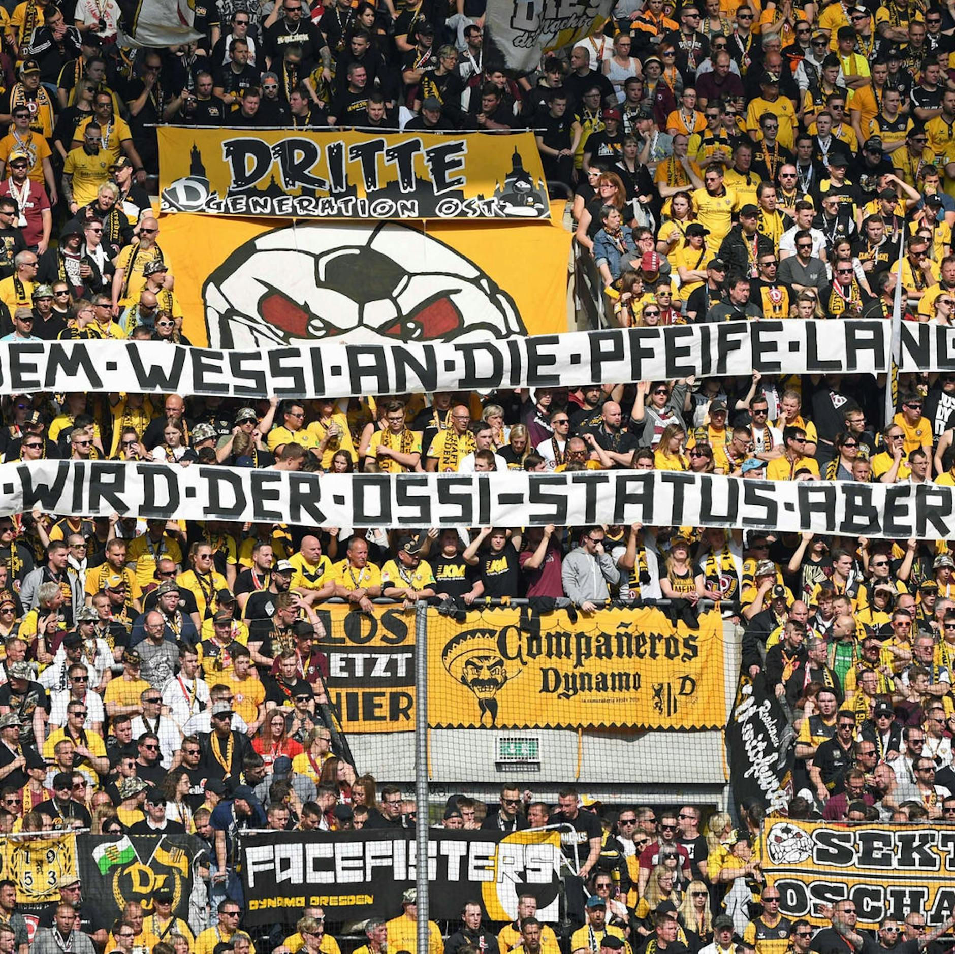 Image - DFB-Pokalgegner von Hertha BSC: Dynamo Dresden ist schwarz-gelber Wahnsinn