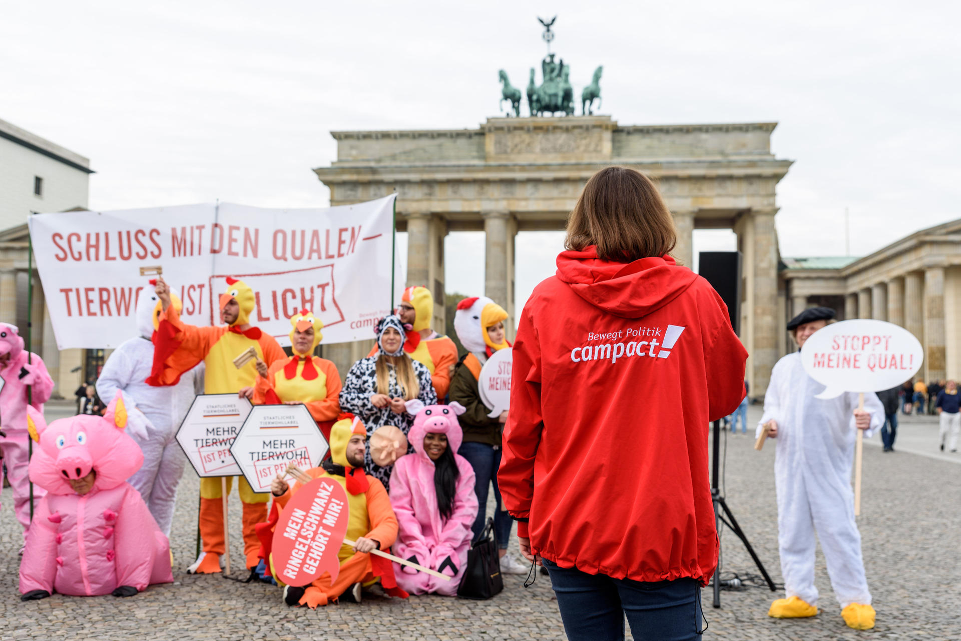Campact verliert gemeinnützigen Status