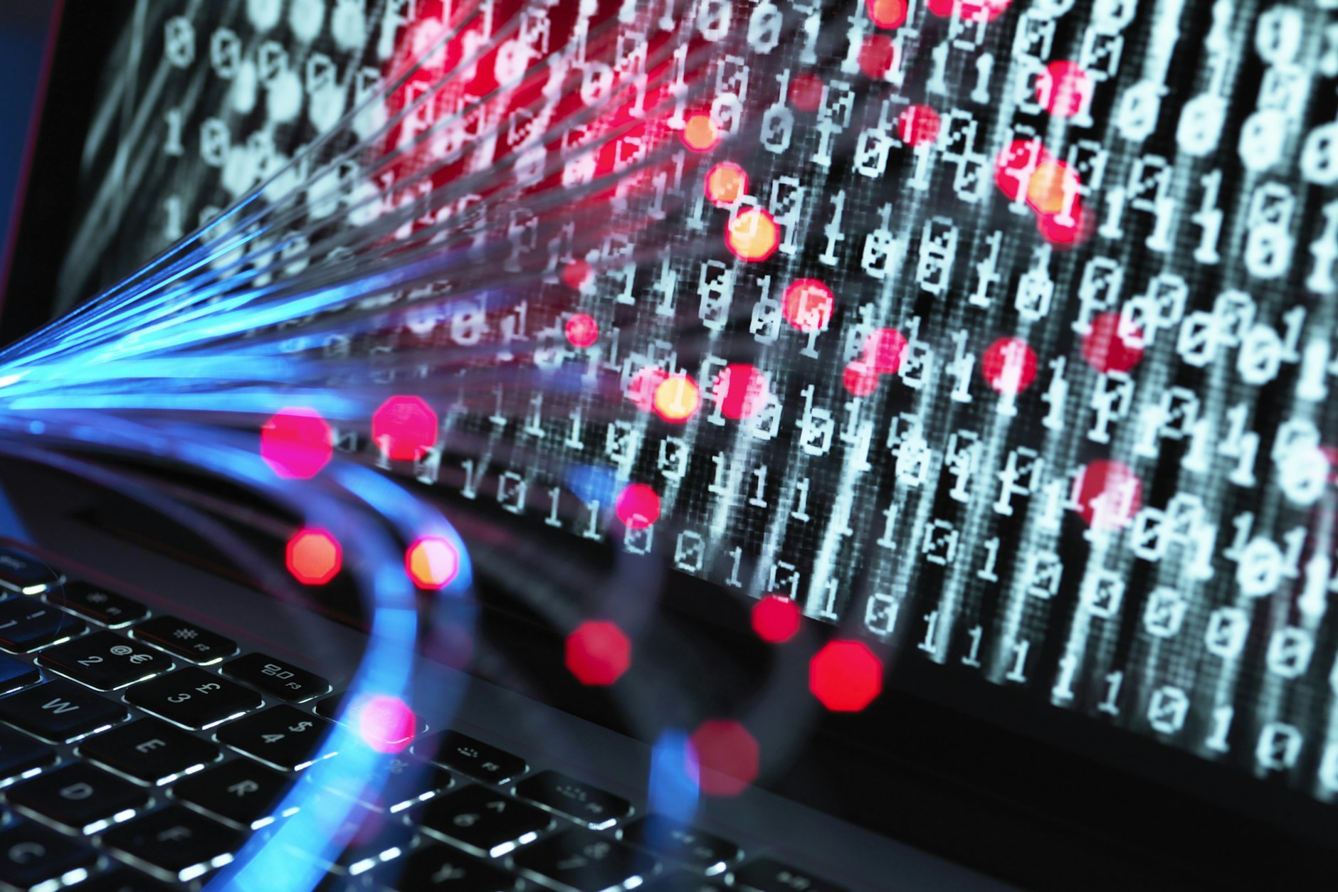 Die Polizei Brandenburg ist Opfer einer Cyberattacke geworden. 