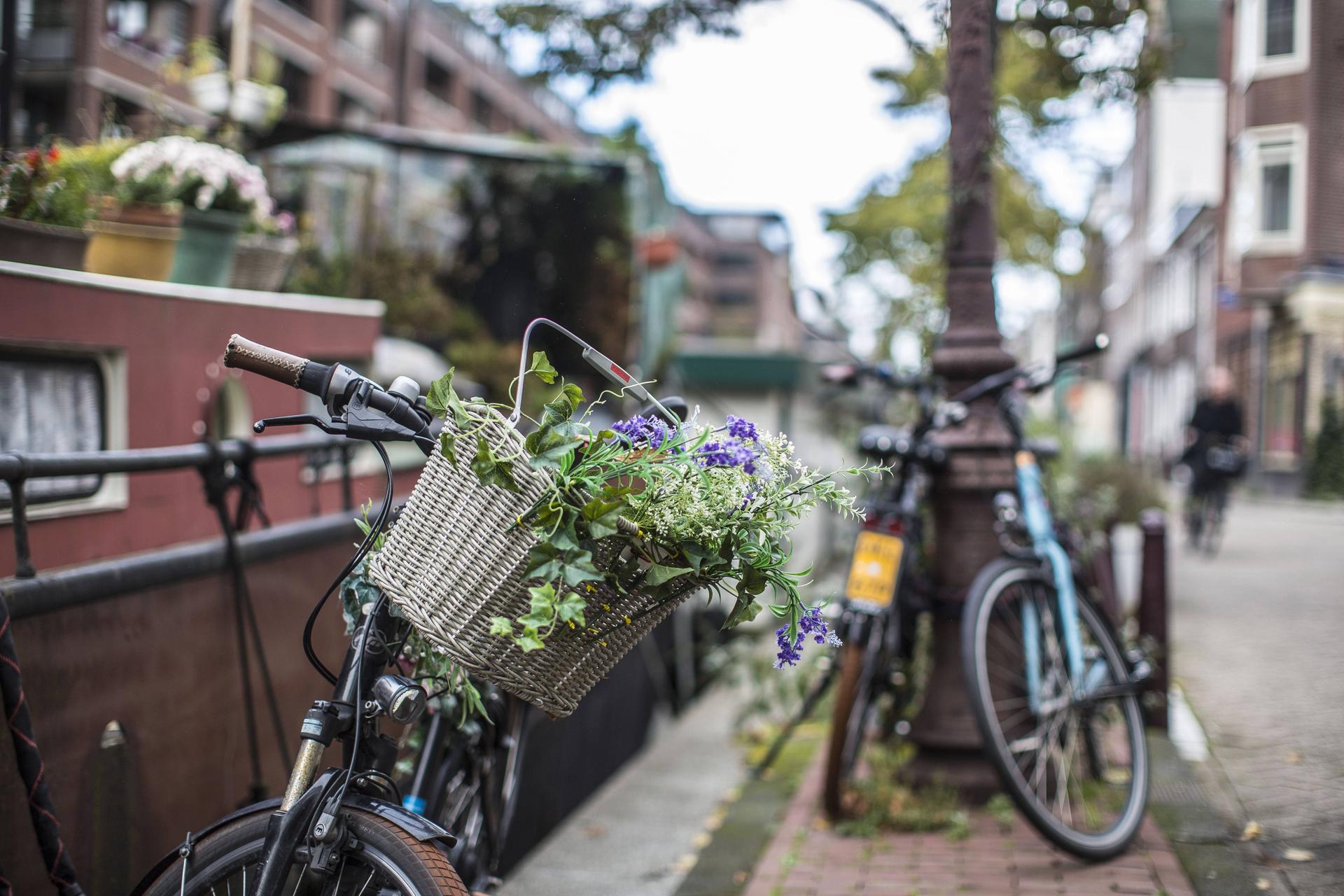 Deeskalation im Straßenverkehr - in Amsterdam schmückt man Fahrradkörbe gerne mit Blumen.
