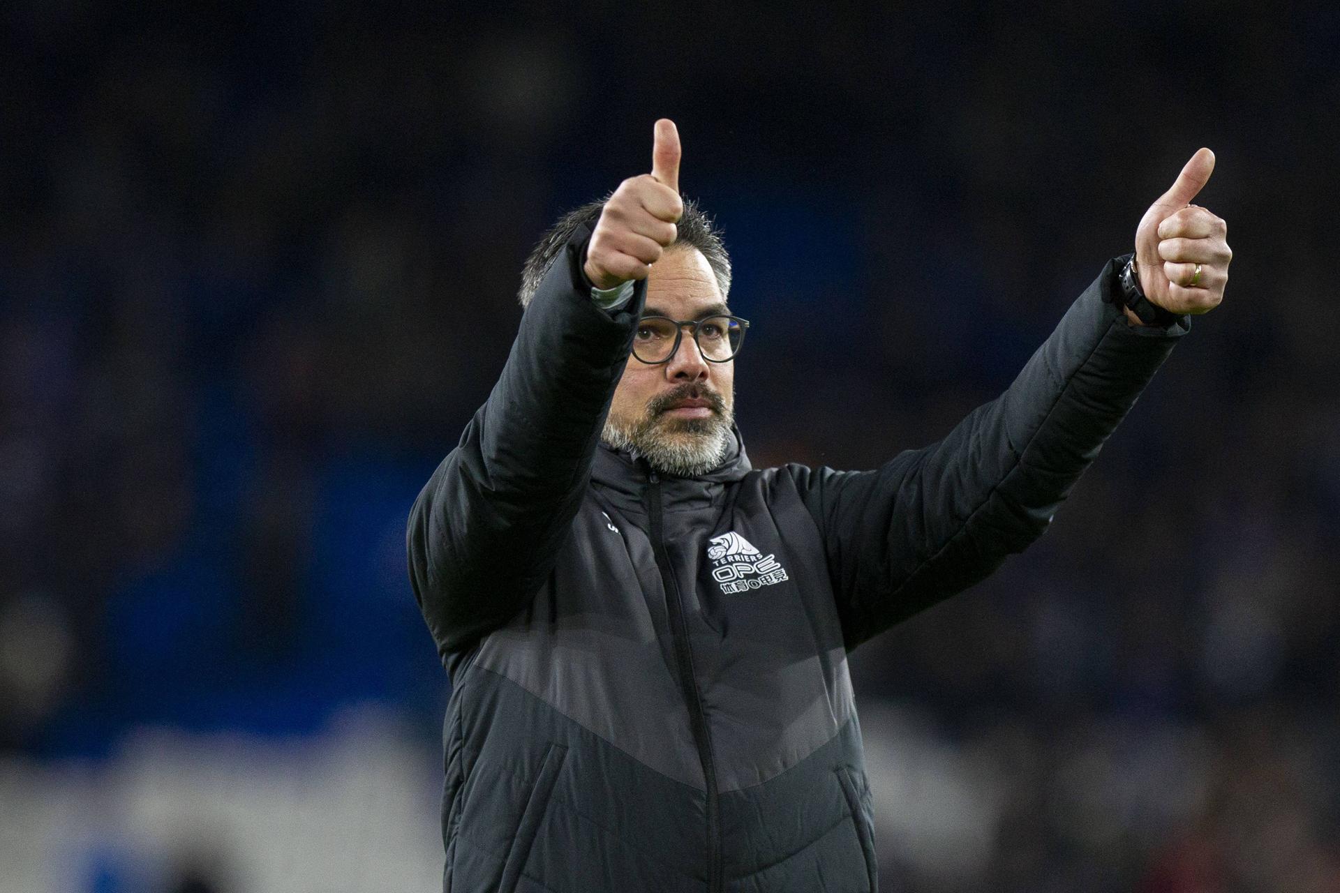David Wagner wird wohl eher Trainer bei Schalke 04 als bei Hertha BSC.