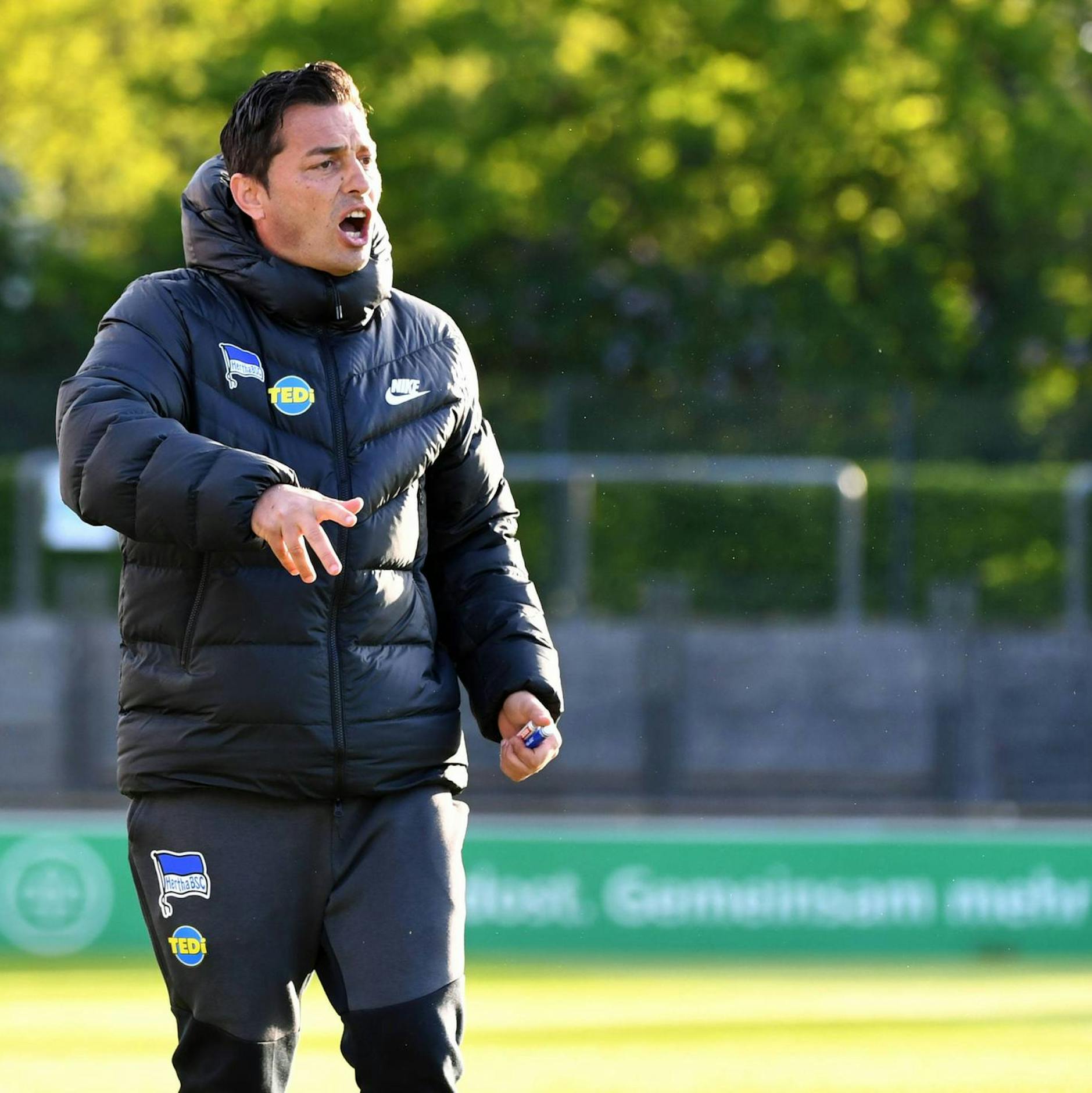 Image - Warum der 43 Jahre alte Berliner bei Hertha BSC zum Cheftrainer wird