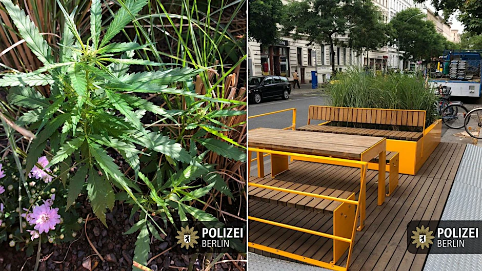 Die Polizei machte einen kuriosen Fund in den Parklet-Hochbeeten in der Bergmannstraße.