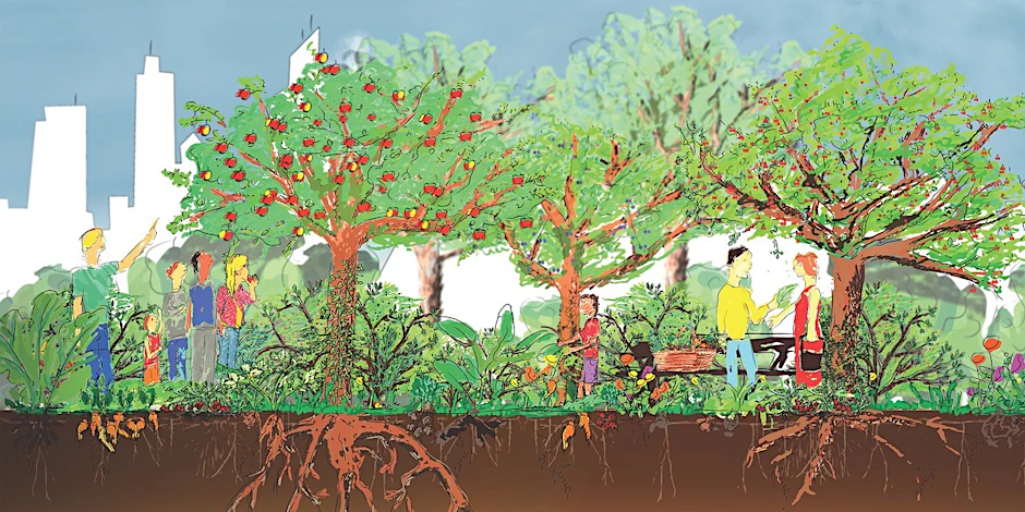 So stellt sich der von den Forschern beauftragte Illustrator Arian Rassoul das naturnahe Ökosystem eines städtischen Waldgartens vor: mit blühenden Baumkronen, darunter liegender Strauchschicht und Pflanzen am Boden.
