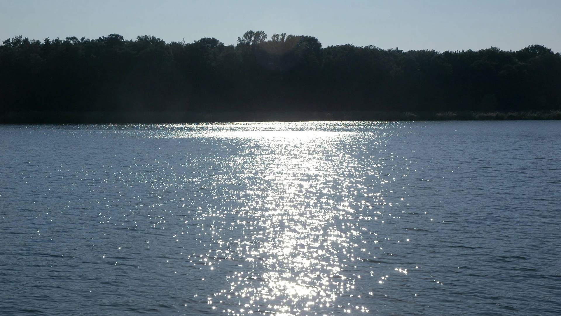 Der malerische Müggelsee im schönen Köpenick. Hier soll sich der Angriff der Wildschweine ereignet haben.