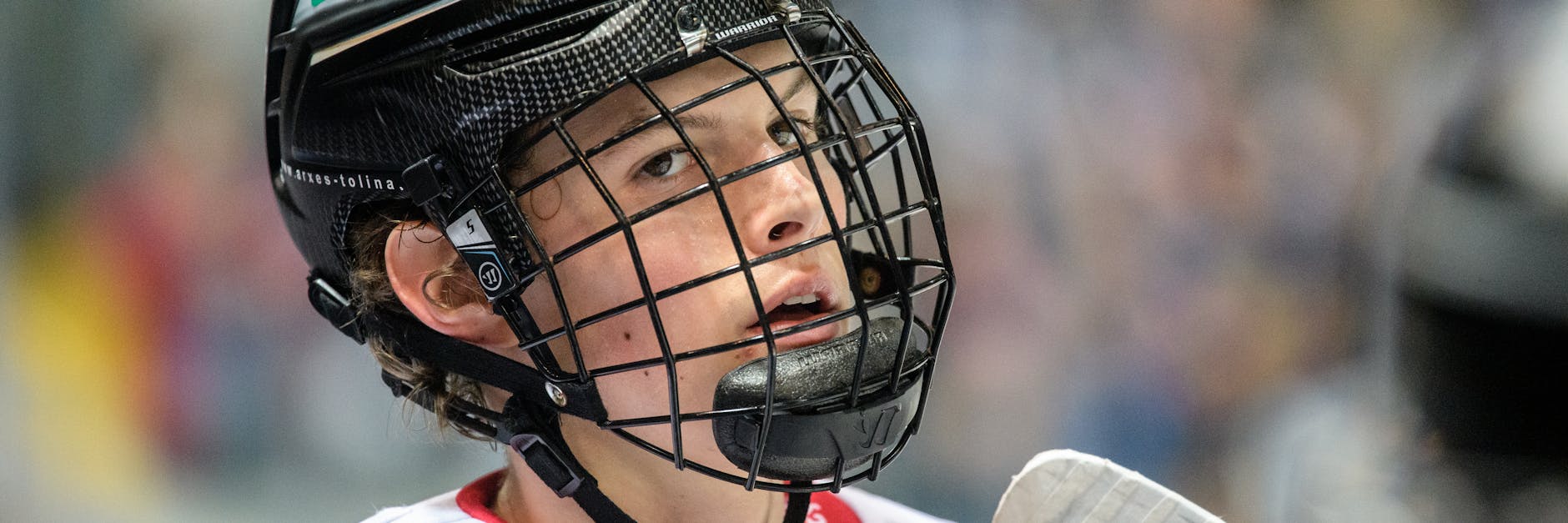 Lukas Reichel trifft heute beim Duell der Eisbären gegen die Lausitzer Füchse auf Brüderchen Thomas.