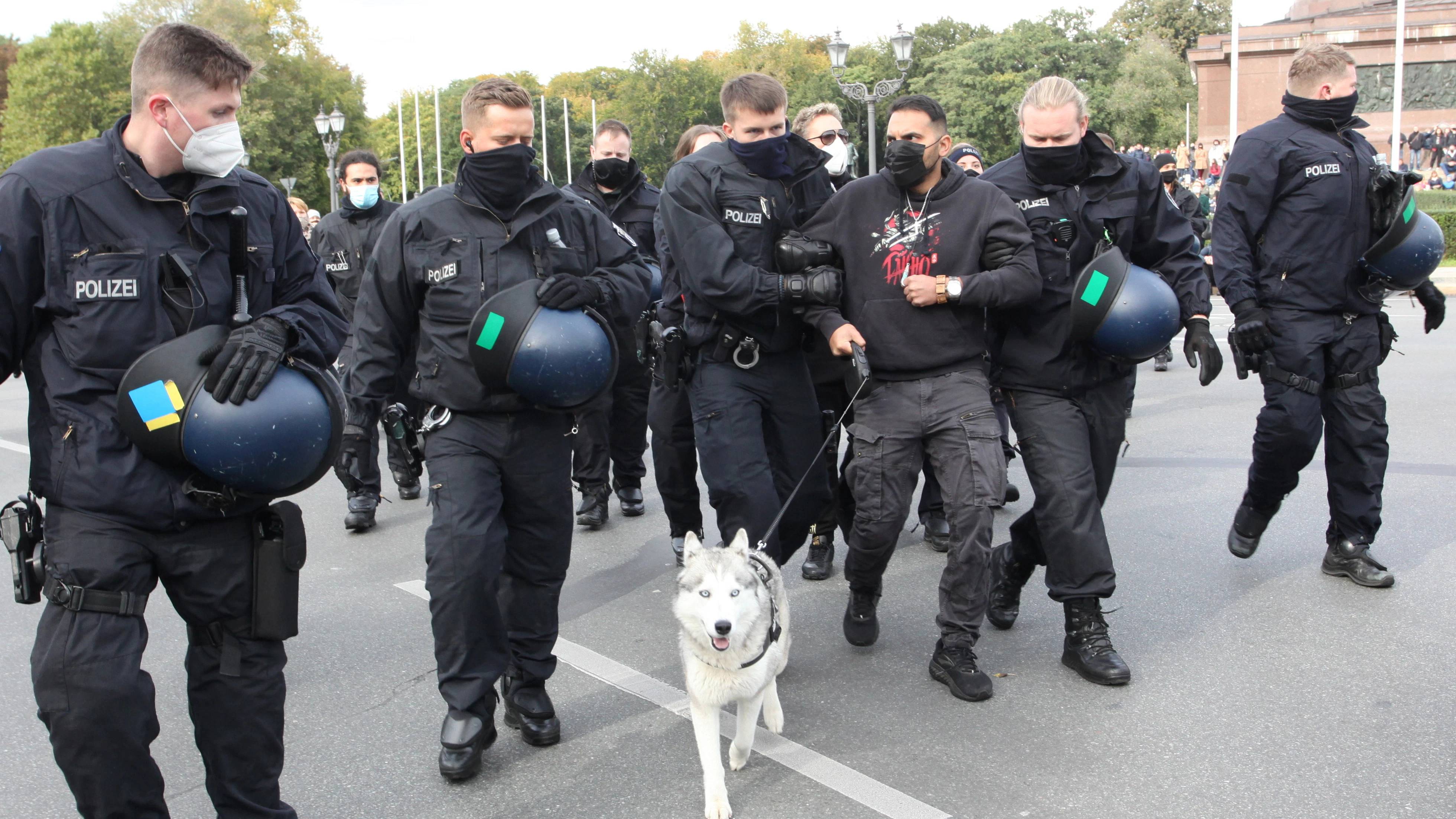 Attila Hildmann mit Husky Akira, abgeführt von Polizisten.