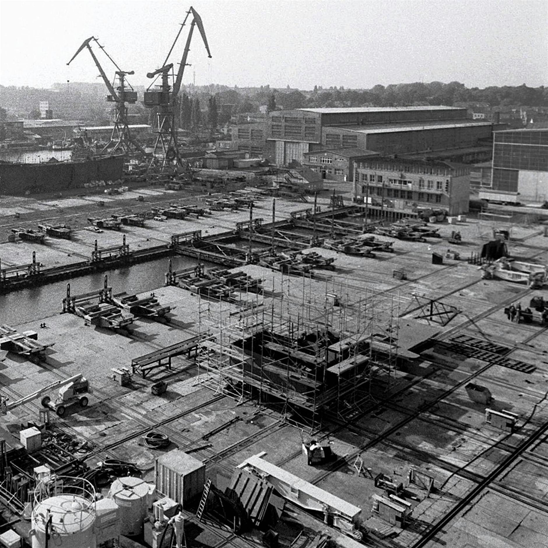 Schaurige Atmosphäre mit Quallenaugen und Ostseeschlick