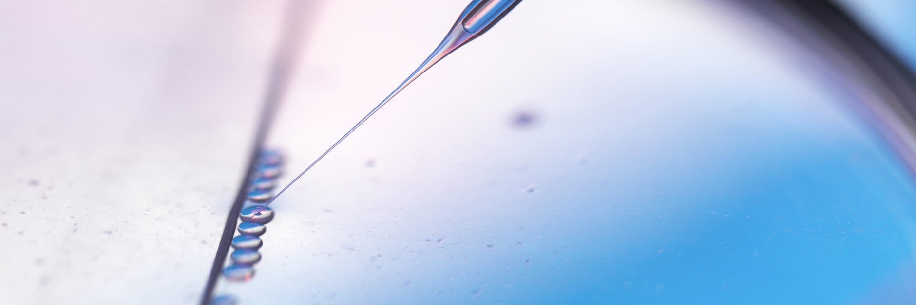 Dem kanadischen Forscher Frank Graham gelang es 1973 an der Universität von Leiden in den Niederlanden, die Zellen zu transformieren.