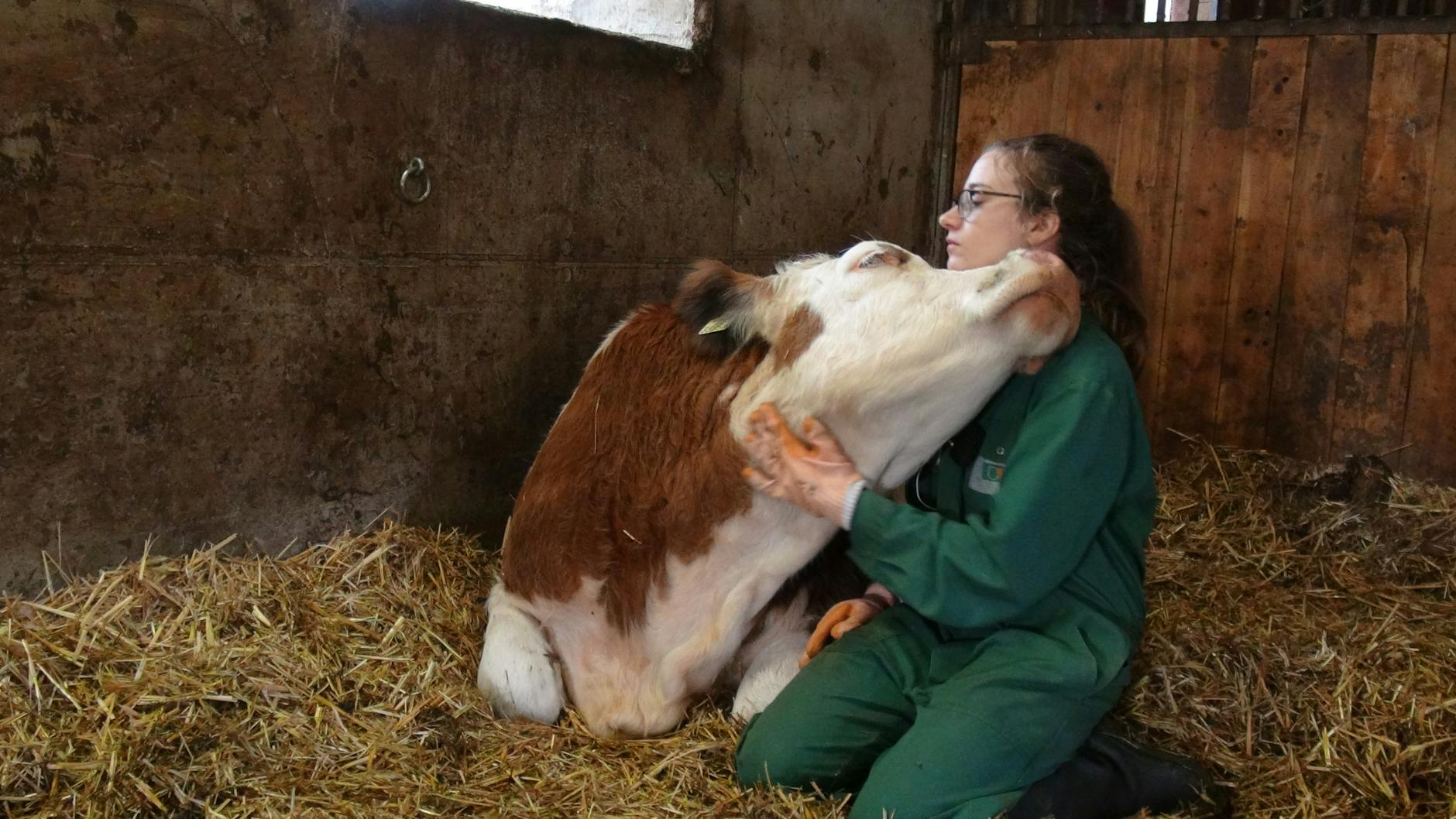 Forscherin Annika Lange von der Veterinärmedizinischen Universität Wien.