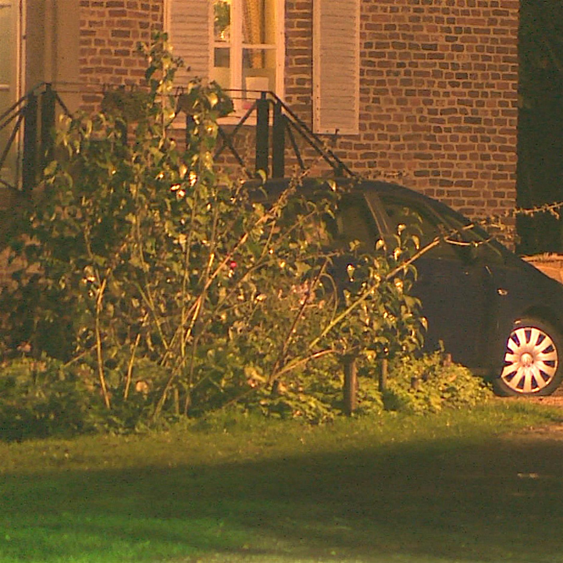 Polizei befreit Frau aus den Klauen einer Sekte