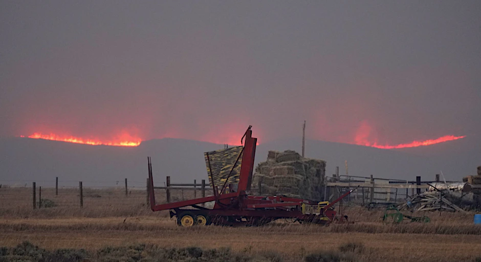 Flammen schlagen über einen Bergkamm in Colorado.
