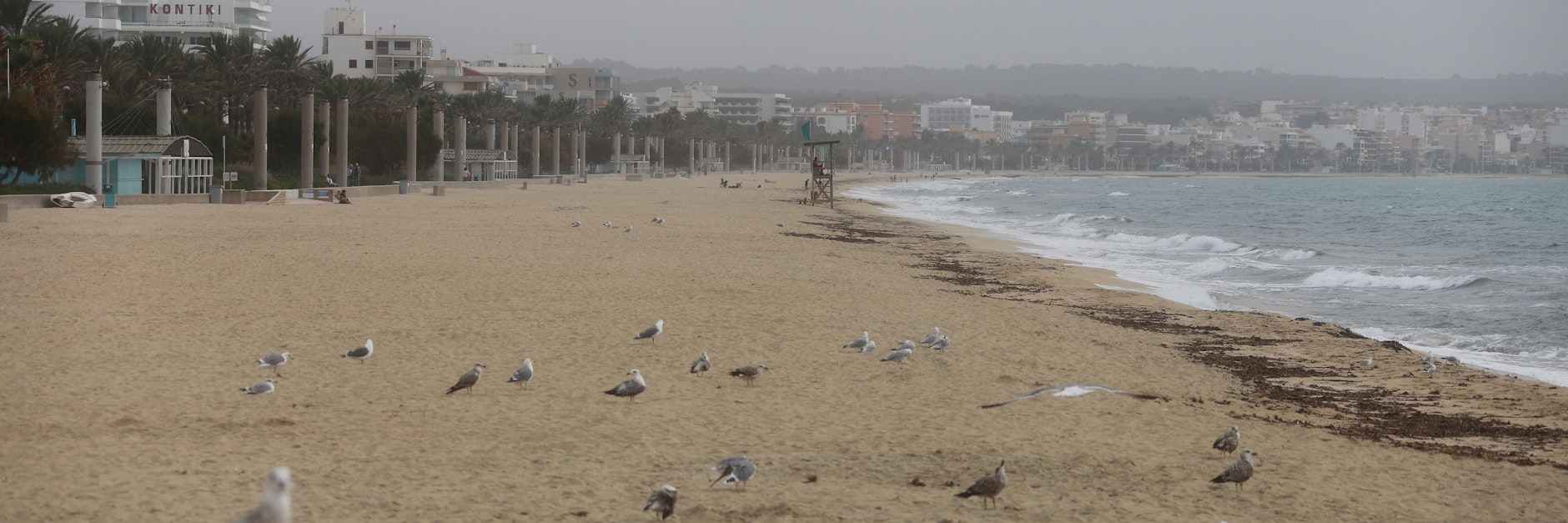 Vögel und Möwen am Strand von Arenal. Von Herbstferien ist auf Mallorca kaum etwas zu sehen. Die meisten Hotels sind zu, der Strand ist leer. 