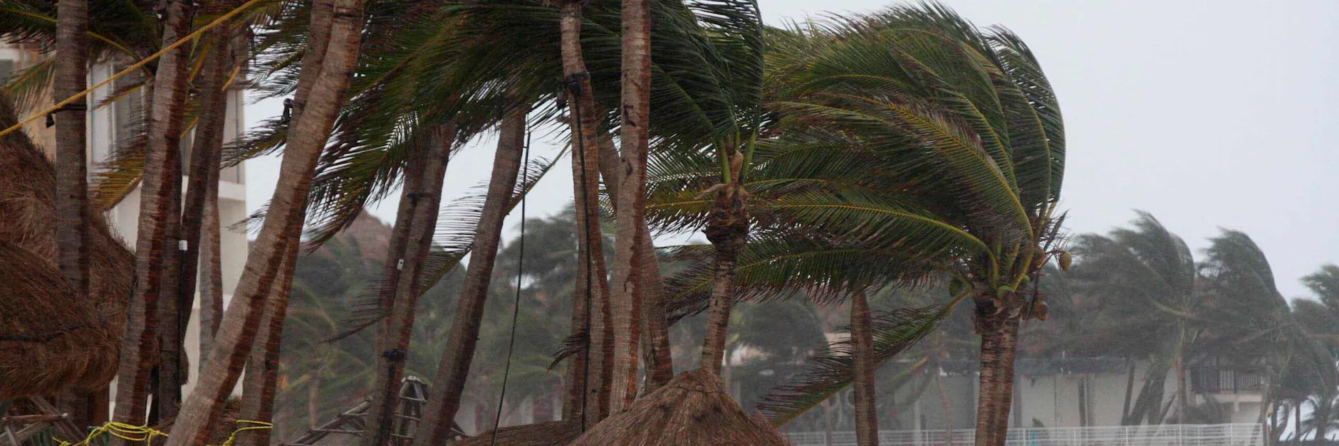 Starker Wind bläst am Strand Playa del Carmen, während Hurrikan „Zeta“ an der Südostküste Mexikos auf Land getroffen ist. 