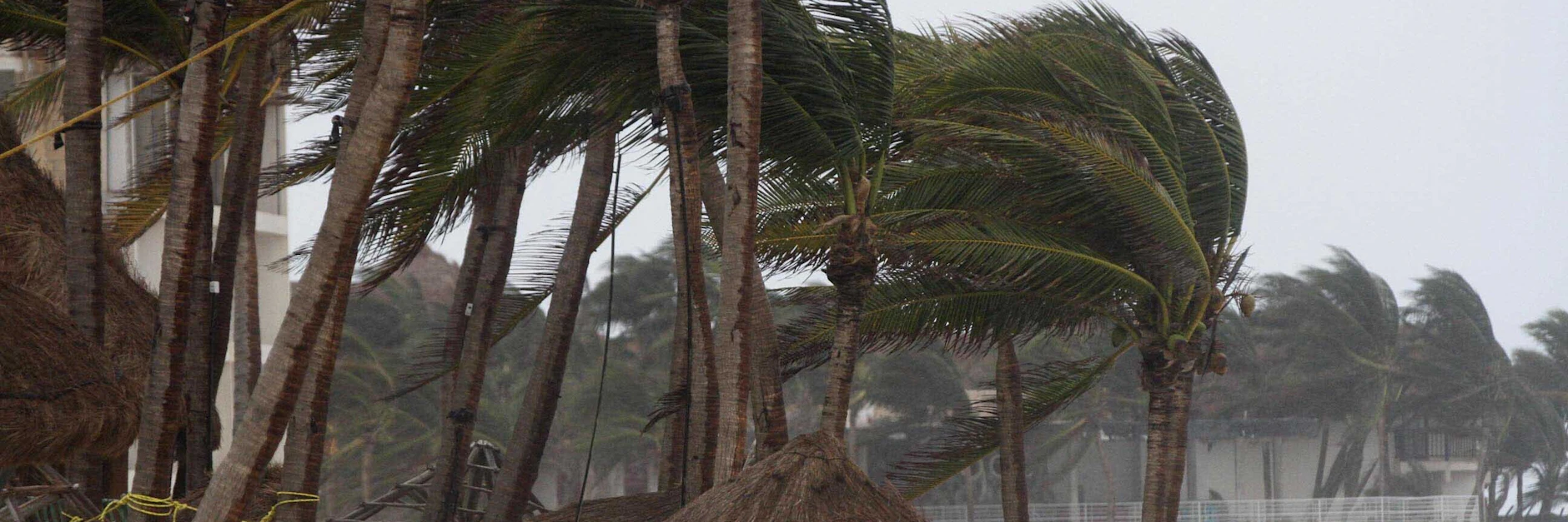Starker Wind bläst am Strand Playa del Carmen, während Hurrikan „Zeta“ an der Südostküste Mexikos auf Land getroffen ist.&nbsp;