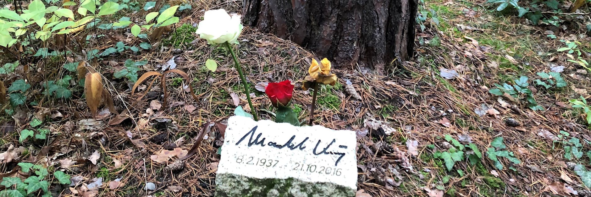 Das Grab von Schauspieler Manfred Krug auf dem Südwestkirchhof Stahnsdorf bei Berlin. 