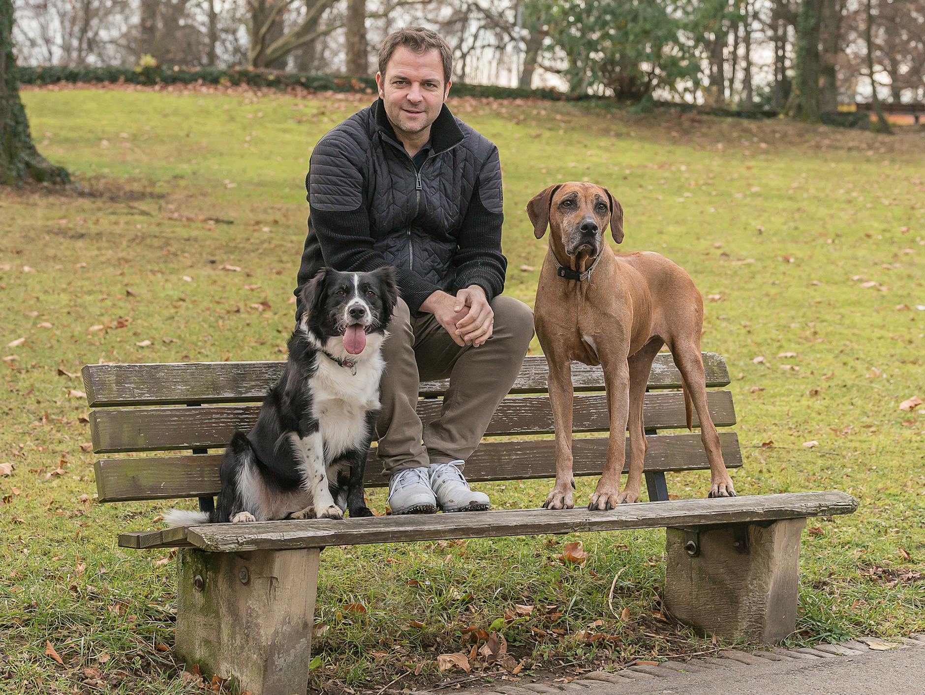 Der Mann, dem die Hunde vertrauen: Martin Rütter ist einer der bekanntesten und beliebtesten Hundetrainer in Deutschland.