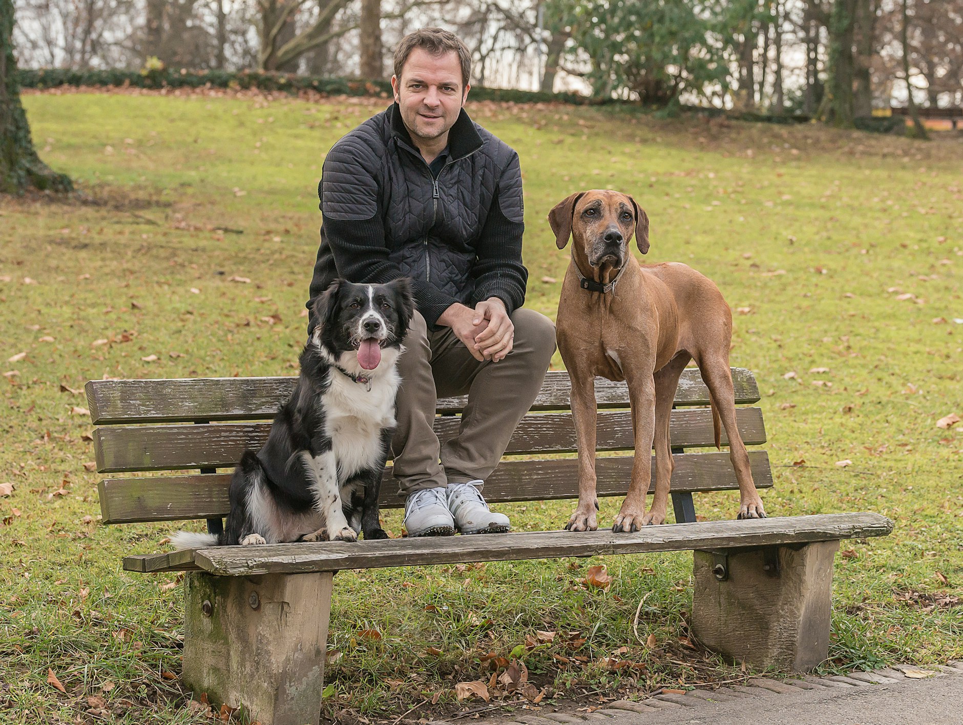 Der Mann, dem die Hunde vertrauen: Martin Rütter ist einer der bekanntesten und beliebtesten Hundetrainer in Deutschland.