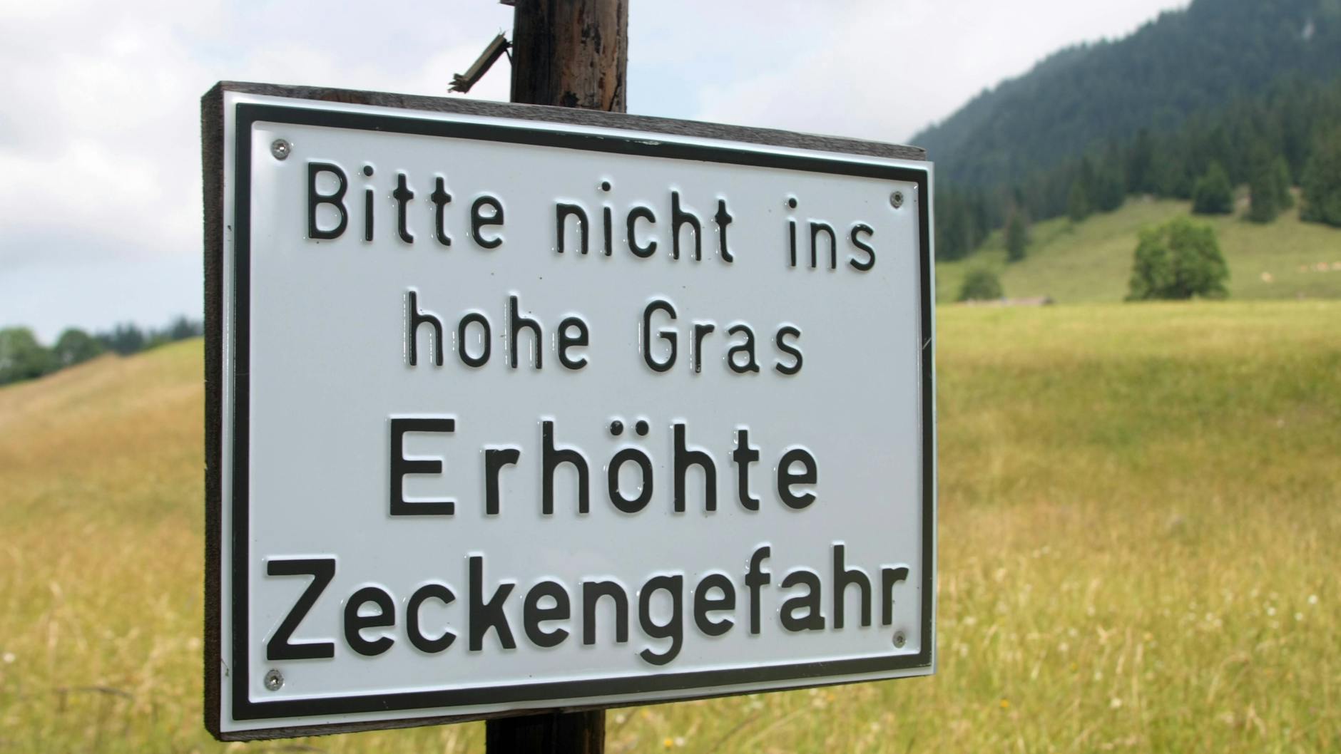 Ein Warnschild auf einer Naturwiese in Oberbayern – dort gibt es besonders viele Zecken. 