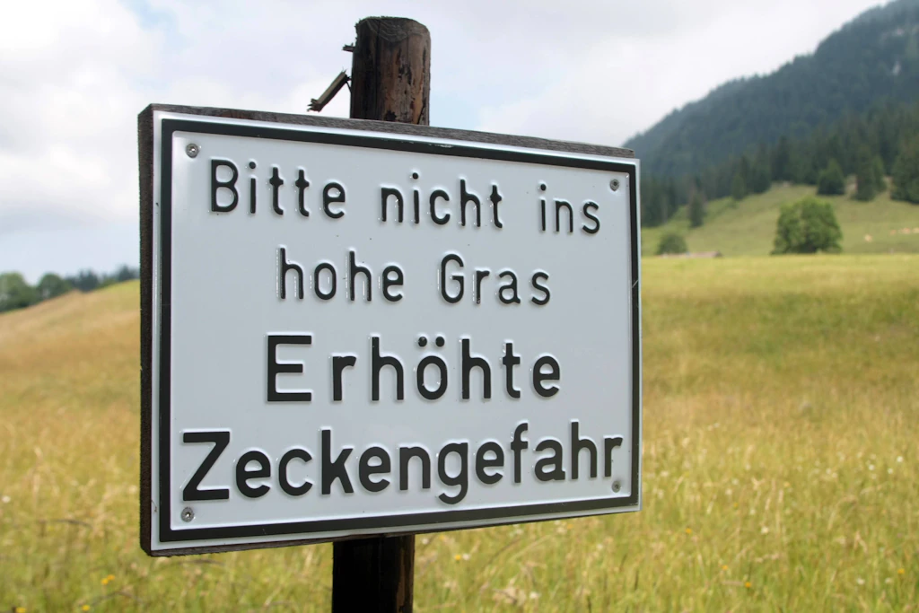 Lyme-Borreliose: Das große Tabu unter den Krankheiten