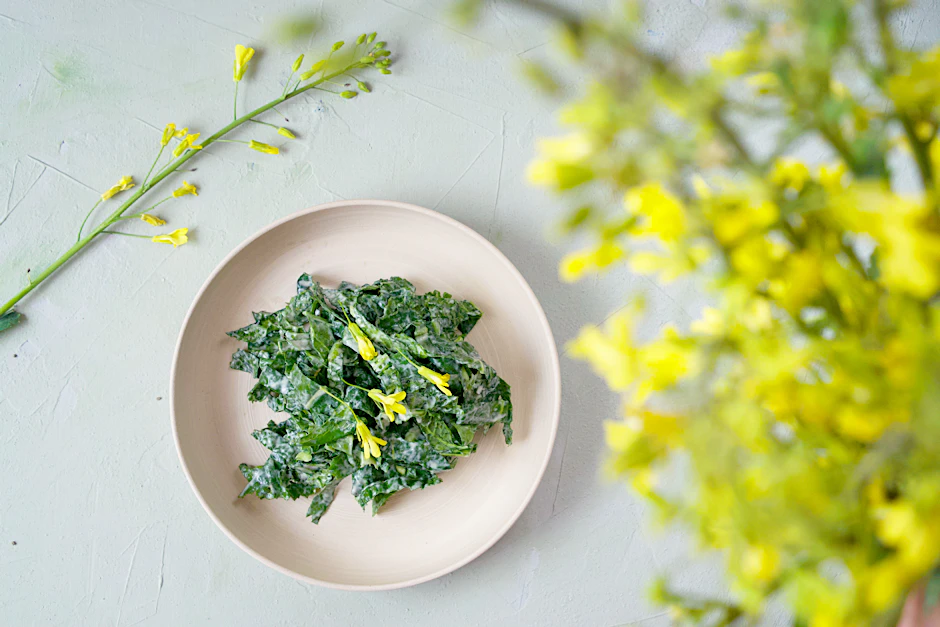 Krautsalat aus Kohlrabi-Blättern, die sonst in der Tonne landen würden - das Rezept stammt vom Foodblog «Ye Old Kitchen».