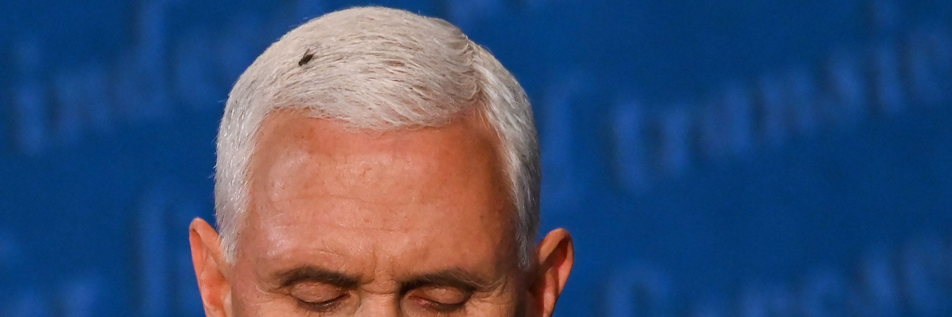 Die Fliege auf dem Kopf von Mike Pence.