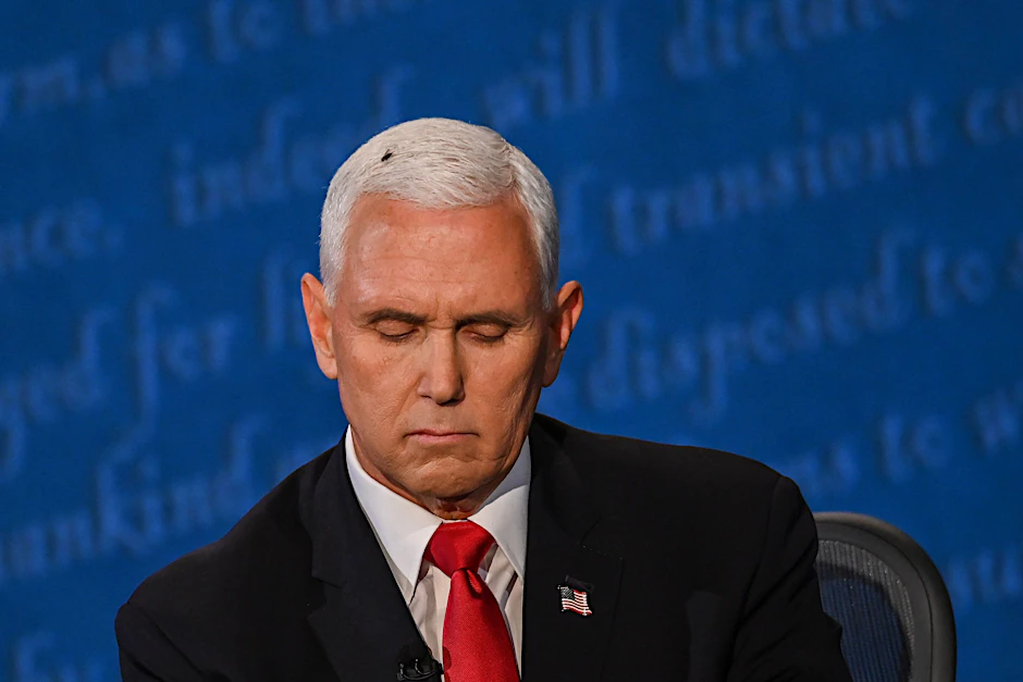 Die Fliege auf dem Kopf von Mike Pence.