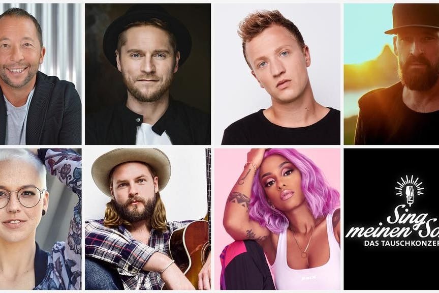 Das sind die Stars der achten Staffel: DJ BoBo, Johannes Oedring, Joris, Reggae-Star Gentleman, Stefanie Heinzmann , Ian Hooper und Rapperin Nura.